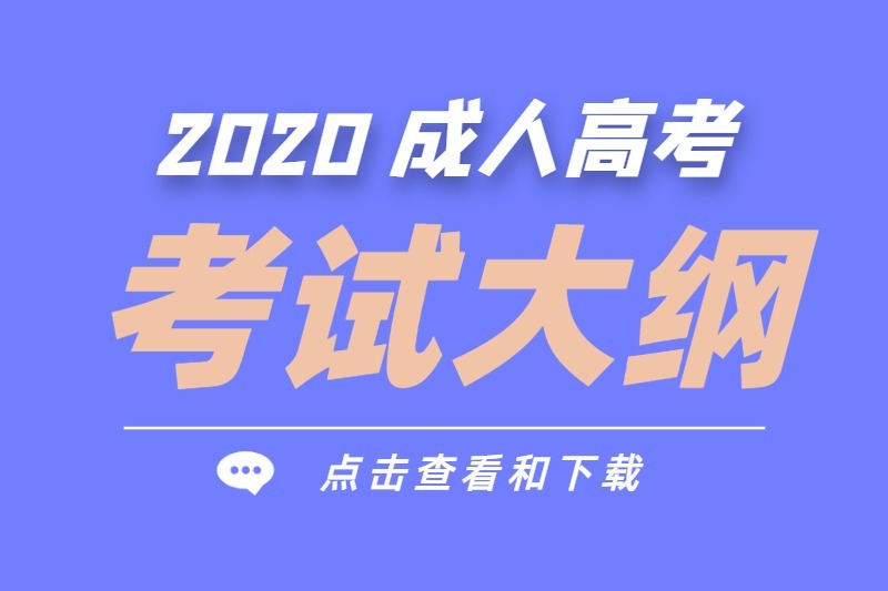 广东成人高考考试大纲2011版（汇总）