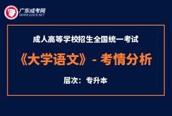 大学语文-成人高考专升本-试听课程（2020年）