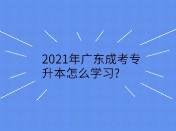 2021年广东成考专升本怎么学习