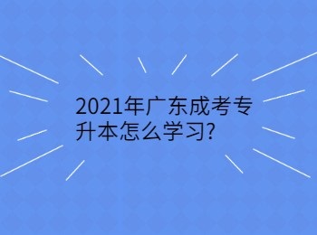 2021年广东成考专升本怎么学习