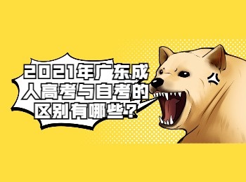 2021年广东成人高考与自考的区别有哪些