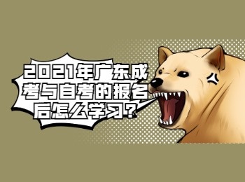 2021年广东成考与自考的报名后怎么学习