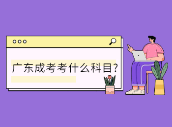 广东成考考什么科目