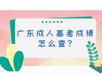 广东成人高考成绩怎么查?