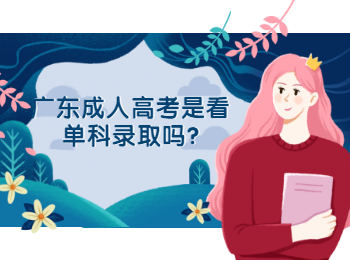 广东成人高考是看单科录取吗?