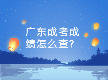 广东成考成绩怎么查?