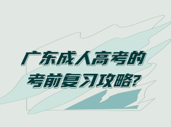 广东成人高考的考前复习攻略?