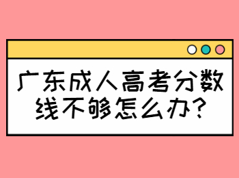 广东成人高考分数线不够怎么办?