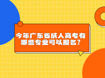 今年广东省成人高考有哪些专业可以报名?