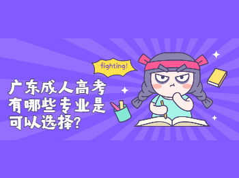 广东成考 广东成人高考选择的专业