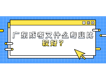 广东成考又什么专业比较好?