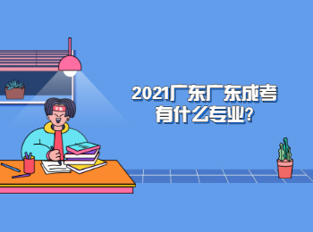 2021广东广东成考有什么专业?