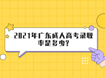 2021年广东成人高考录取率是多少?