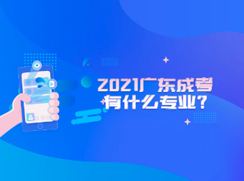 2021广东成考有什么专业?