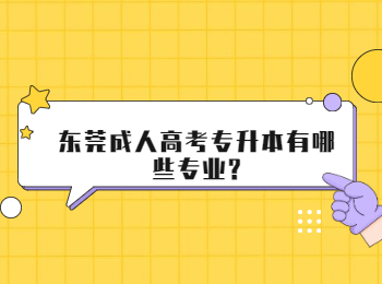 东莞成人高考专升本有哪些专业?