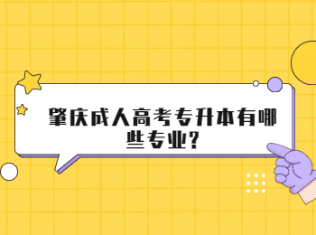 肇庆成人高考专升本有哪些专业?