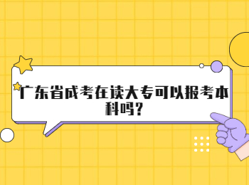 广东省成考在读大专可以报考本科吗?