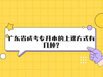 广东省成考专升本的上课方式有几种?