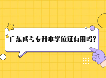 广东成考专升本学位证有用吗?