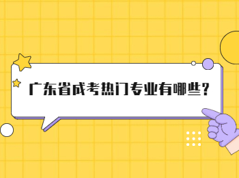 广东省成考热门专业有哪些?