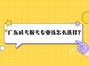 广东成考报考专业该怎么选择?