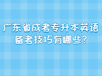 广东省成考专升本英语备考技巧有哪些