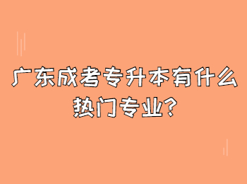 广东成考专升本有什么热门专业