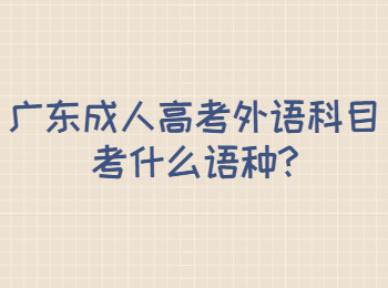 广东成人高考外语科目考什么语种