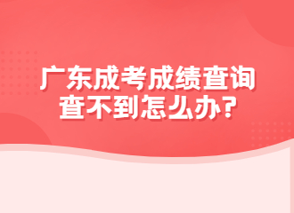 广东成考成绩查询老是查询不到怎么办?