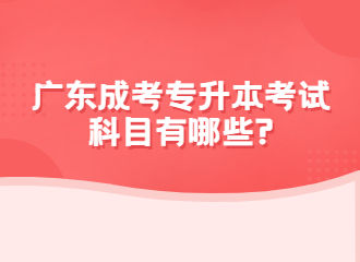 广东成考专升本考试科目有哪些?