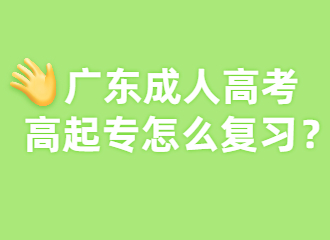 广东成人高考高起专怎么复习？