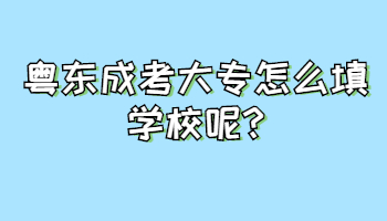 粤东成考大专怎么填学校呢