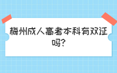 梅州成人高考本科有双证吗