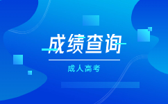 2023年广东成人高考成绩查询需要省份证号吗?
